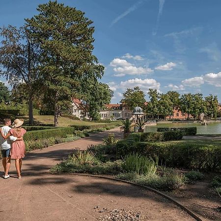 Апартаменты Traumhafte Auszeit Bad Lauchstadt Экстерьер фото
